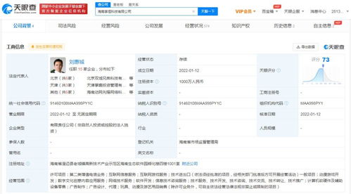 互联网游戏服务 连接、沉浸与变革